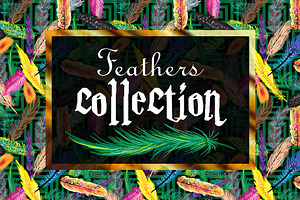 Feathers collection