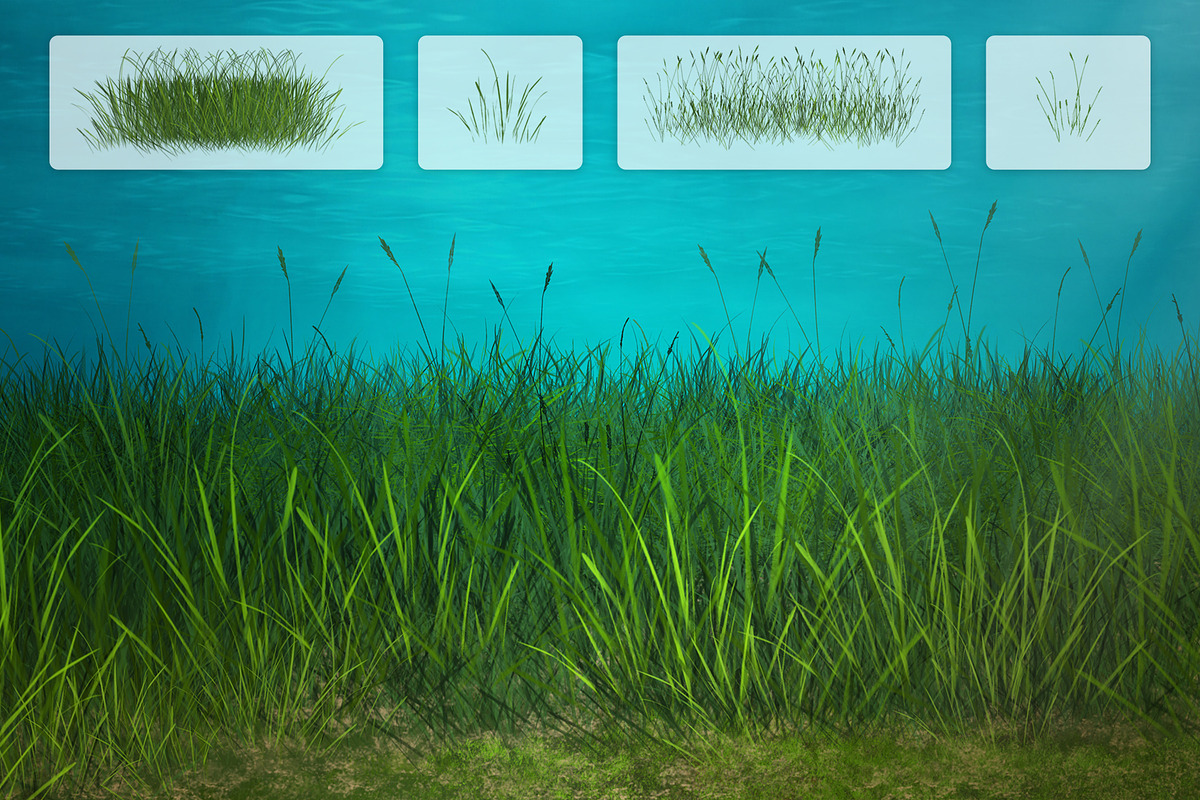 Dynamic Seagrass Brushes, a Brush Add-On by Mohamed Saber (Photo 3 of 6)