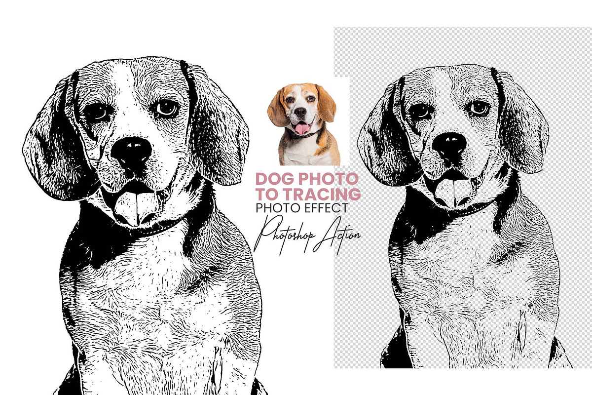 Animal Photo to Tracing, an Action Add-On by MRI STUDIO (Photo 10 of 10)