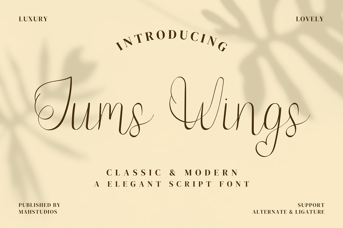 Jump Wings Script Fonts, a Script Font by mahstudios (Photo 1 of 15)