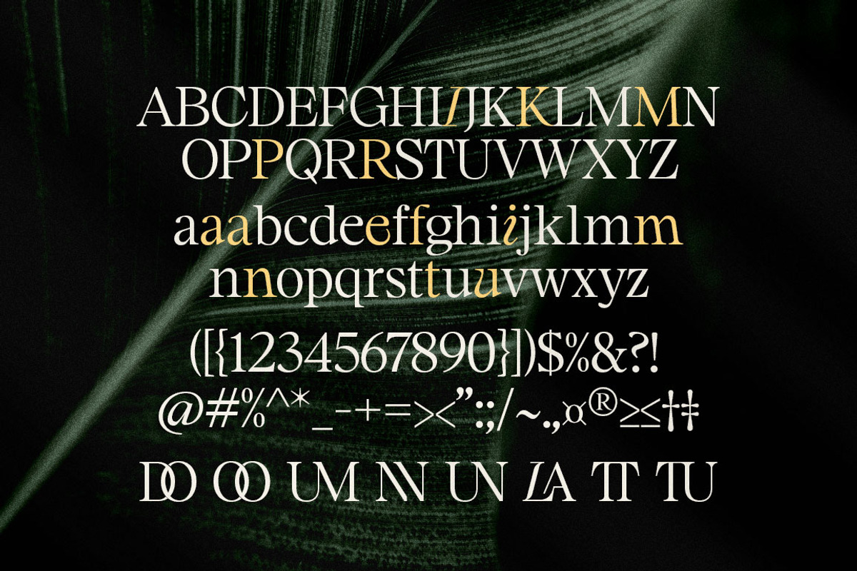 Maister//Display Serif, a Serif Font by Dora Typefoundry (Photo 11 of 20)