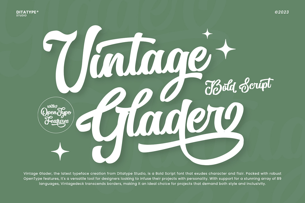 Vintage Glader, a Script Font by Ditatype (Photo 1 of 10)