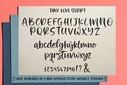 Tiny Love # Update! New Style!, a Script Font by Larin Type Co. (Thumbnail 7 of 8)