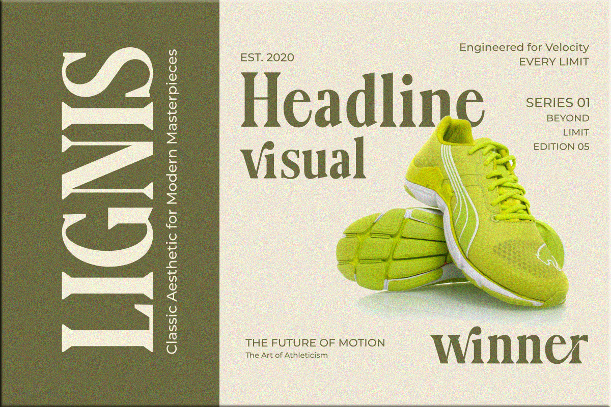Lignis, a Serif Font by Zafiratype (Photo 4 of 15)