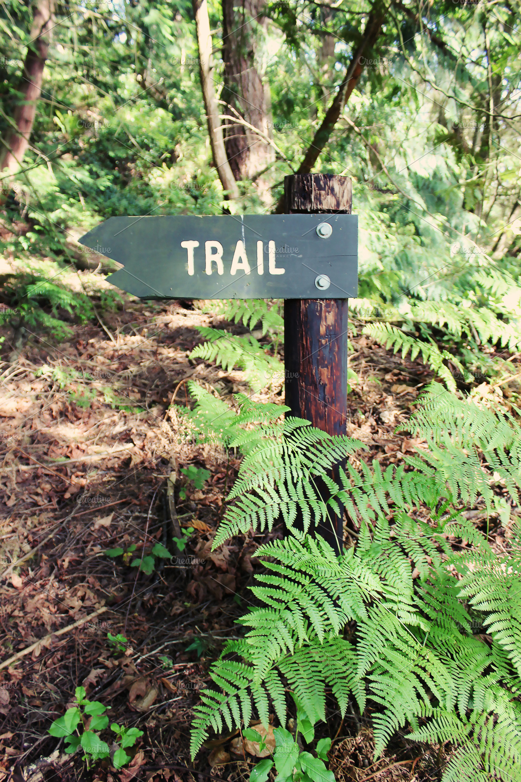 Trail Sign, a Nature Photo by Creatively Happy Studio