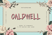 Caldwell, a Font by TGIF.STD (Thumbnail 1 of 6)