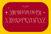 Pearl Tropical, a Serif Font by zaaintype (Thumbnail 9 of 15)
