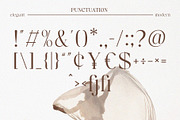 Reign – Display Serif Font, a Font by Almeera Std (Thumbnail 8 of 8)