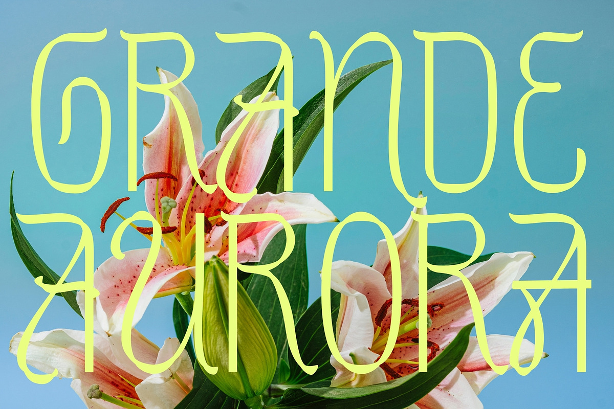 Sharon Elany, a Sans Serif Font by Get Studio (Photo 12 of 27)