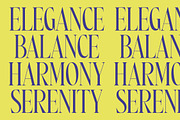 Most Pixels Modern Elegant Serif, a Serif Font by timelesstype.co (Thumbnail 6 of 15)