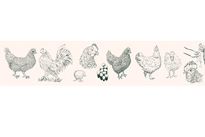 Chicken svg, an Icon by Anada Arty