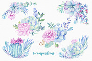 SALE! Succulents & Cactuses, an Illustration by Irina Diasli (Thumbnail 2 of 8)
