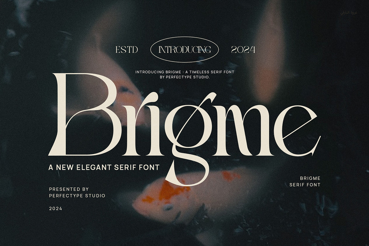 Brigme Elegant Serif Font Typeface, a Serif Font by Perfectype (Photo 1 of 6)