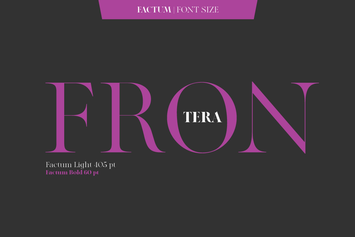 Factum font family, a Serif Font by Fontop (Photo 10 of 12)