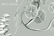 SEAWEED SEAMLESS PATTERNS & OBJECTS, a Decorative Illustration by Splash! (Thumbnail 8 of 8)