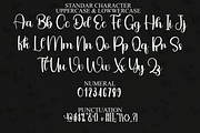 Batnight, a Font by FreshTypeINK (Thumbnail 2 of 8)
