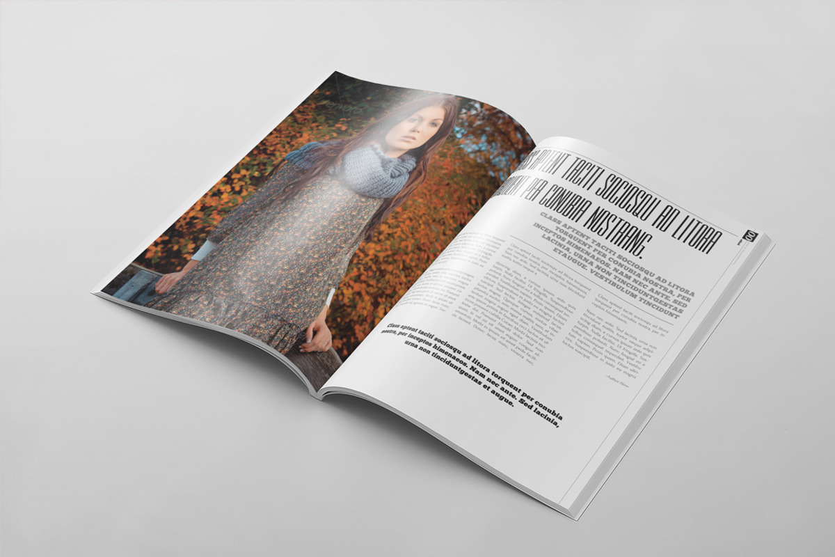 Magazine Template 27, a Magazine Template by pmvch (Photo 10 of 10)