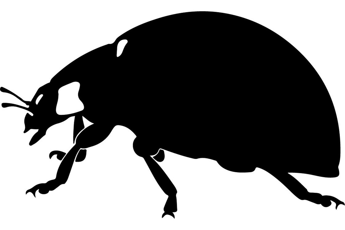 Ladybug Silhouette, an Object Graphic by Designer_Momina (Photo 18 of 20)