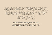 Clarify - Elegant Script Serif, a Script Font by Luna Shop (Thumbnail 4 of 8)