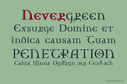 Nexodus, a Serif Font by Fontanatype (Thumbnail 3 of 11)
