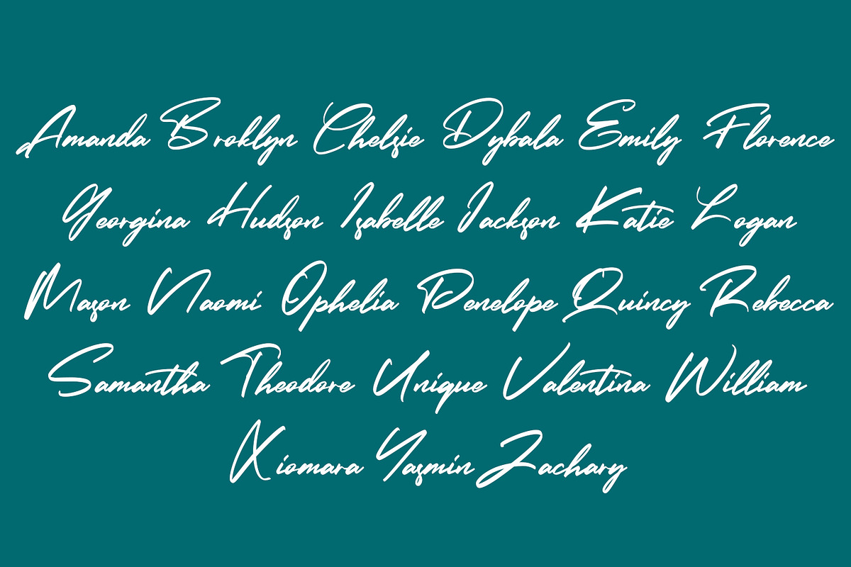 Seattle Weather - Bold Signature, a Script Font by Arendxstudio (Photo 2 of 8)