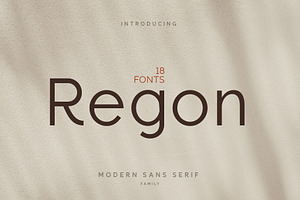 Regon Modern Sans Serif Font