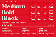 Giantus - Serif font family, a Serif Font by Artistic & Unique (Thumbnail 2 of 13)