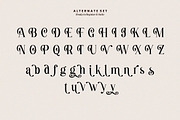 Destiny Gorgeous Font, a Serif Font by HansCo Studio (Thumbnail 10 of 12)