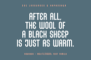 Rounder - Geometric Sans Serif, a Sans Serif Font by alpercakici (Thumbnail 9 of 15)