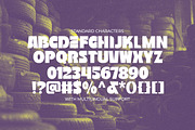 Speed Demon - Bold Retro Racing Type, a Sans Serif Font by Rillatype (Thumbnail 10 of 13)