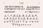 Bagino Elegant Serif Font Typeface, a Serif Font by Perfectype (Thumbnail 6 of 6)