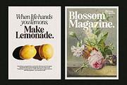 Eighties Comeback Serif (70 fonts), a Serif Font by Nicky Laatz (Thumbnail 42 of 47)