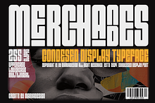 Merchandes - A Condensed Display Fon