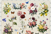 Vintage Botanical Charm Collage Pack, an Object Graphic by lerinartstudio (Thumbnail 8 of 14)