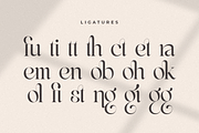 Life Sugar - Unique Serif Font, a Serif Font by Sensatype (Thumbnail 9 of 16)