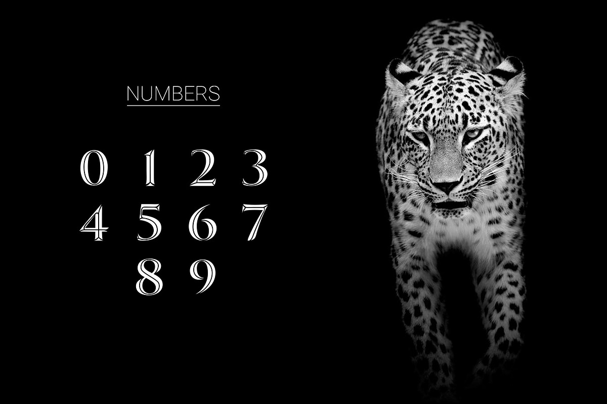 Invictus - Serif Typeface preview 6