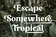 Tropical County - Modern Serif, a Serif Font by Fikryal Studio (Thumbnail 11 of 19)