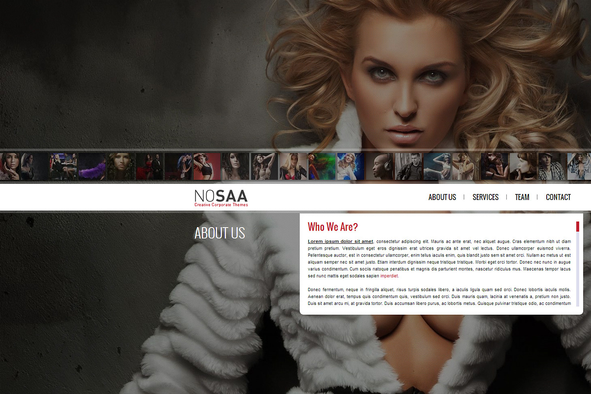 Nosaa Fullpage WordPress Theme, a WordPress Template by ProfMe Themes (Photo 3 of 4)