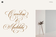 Cut Putroe Navisha, a Script Font by Typehill (Thumbnail 3 of 15)