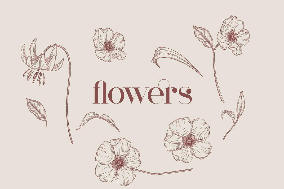 Mother Serif Typeface - 5 weights, a Serif Font by VP Fonts (Photo 12 of 13)