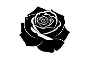 50 Black Rose Silhouette Vector Bund, an Illustration by Gaye Art (Thumbnail 7 of 51)