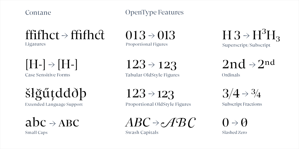 Contane, a Serif Font by Hoftype (Photo 14 of 15)