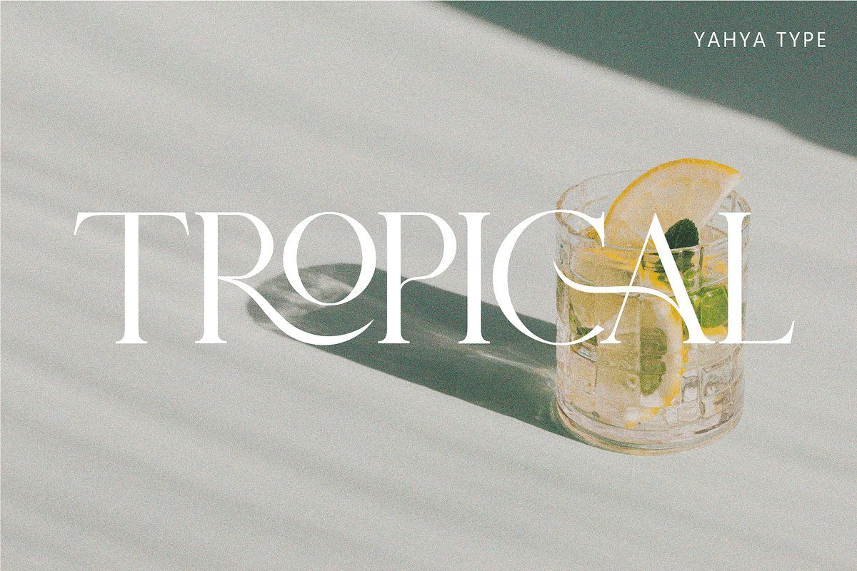 Histeagin Serif, a Serif Font by Yahya Type (Photo 18 of 25)