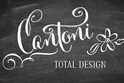 Cantoni Total Design Font, a Script Font by Debi Sementelli (Thumbnail 1 of 5)