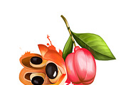 Ackee Print, Jamaican Kitchen Art, a Food Illustration by Dneprstock (Thumbnail 1 of 4)
