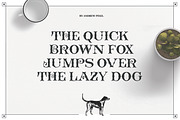 Bushel - A vintage Flourish Font, a Serif Font by AndrewPixel (Thumbnail 2 of 7)