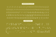 Bigest Karath Thin Serif Display, a Serif Font by timelesstype.co (Thumbnail 18 of 20)