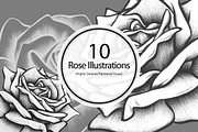 10 Rose Illustrations, an Object Graphic by BIOWORKZ (Thumbnail 1 of 5)