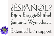 Hellen - Serif Font, a Serif Font by Genilson Santos (Thumbnail 15 of 21)