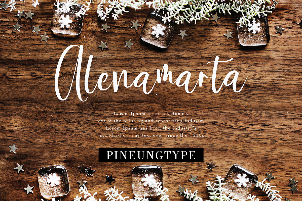 Bermesta, a Script Font by pineungtype (Photo 4 of 8)